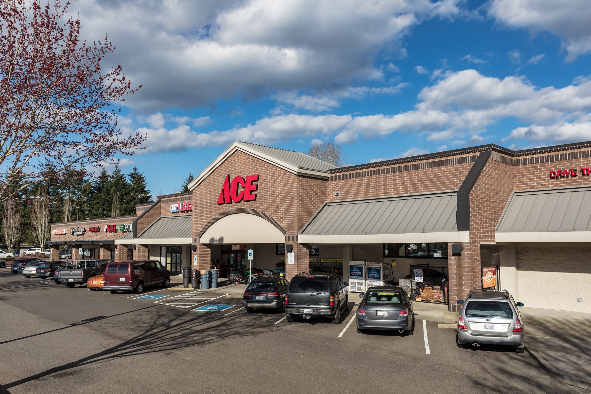 Salmon Creek Plaza Specialty and Service Retail Space C.E. John